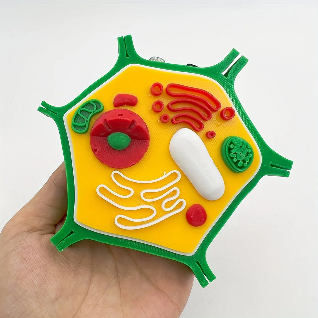 Maquette cellule