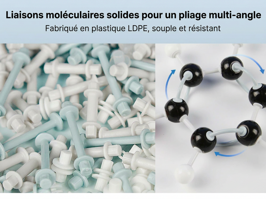 Maquette molécule ADN