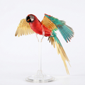 Maquette perroquet