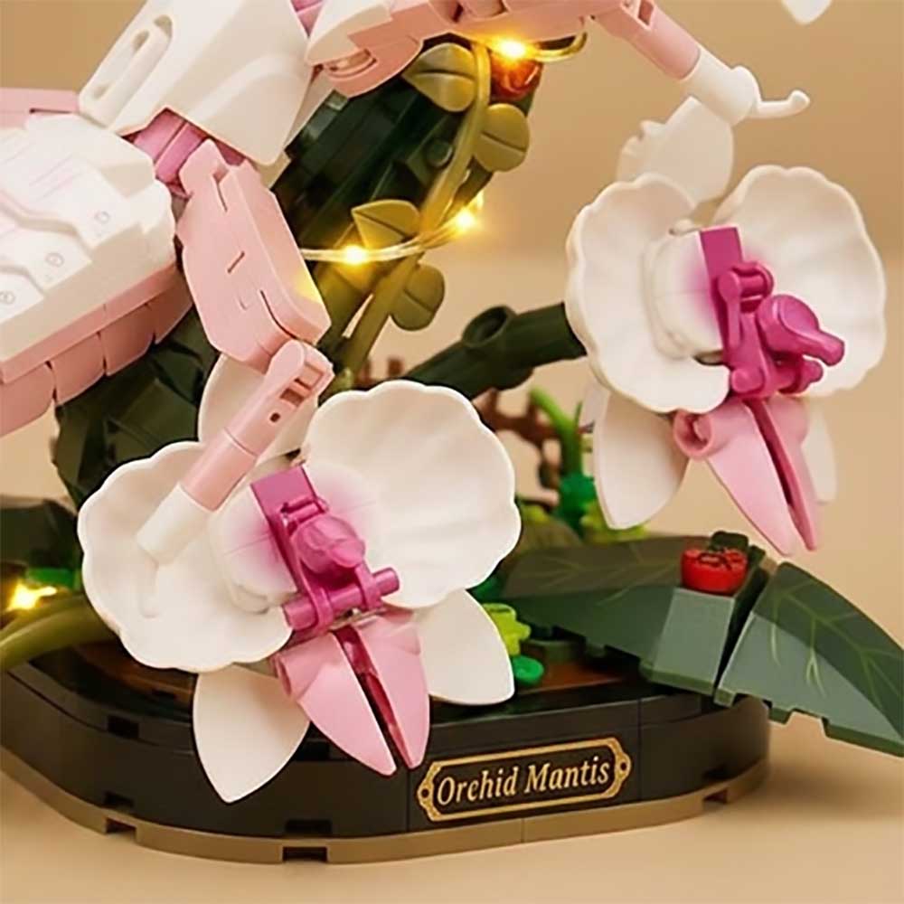 Maquette mante orchidée
